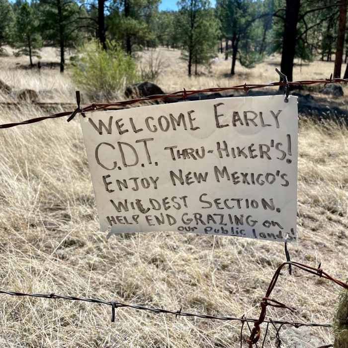 Near Continental Divide Trail: Gila River Alternate (Part 3)