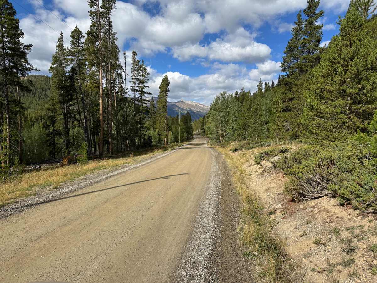 French Gulch Road photo 3