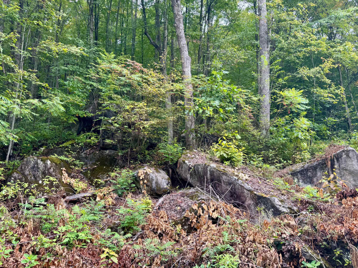 Jack Dent Road photo 6