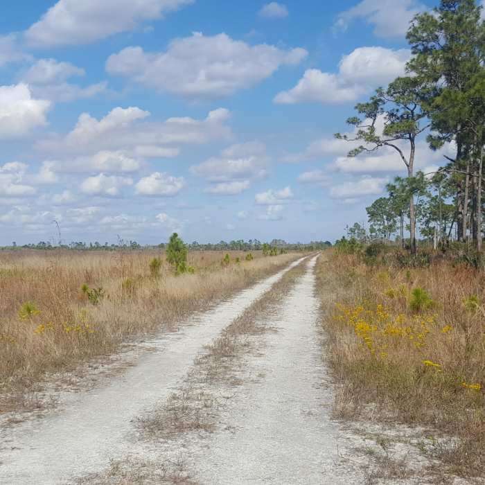 Near Quail Trail