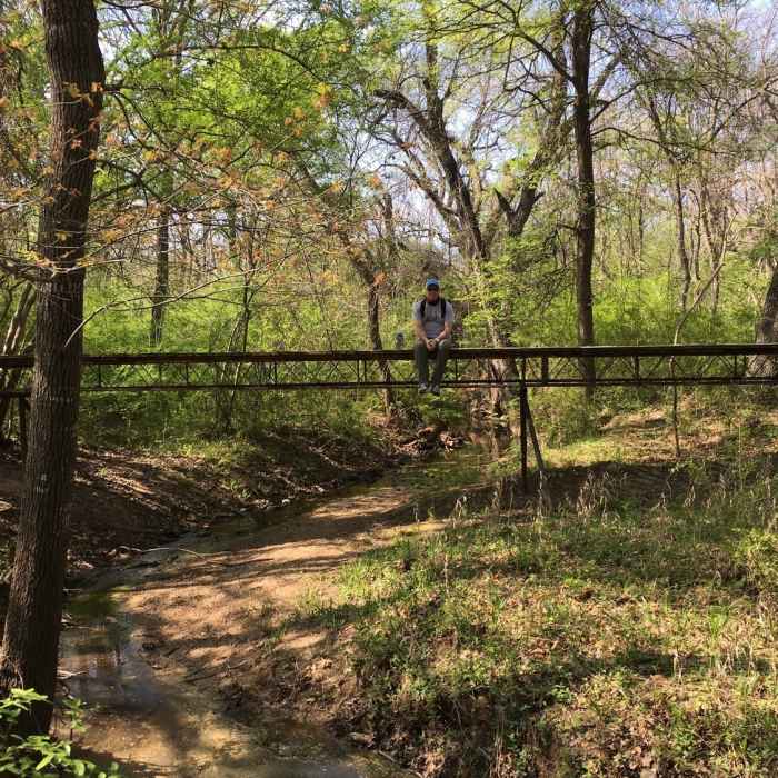 Near Wild Plum South