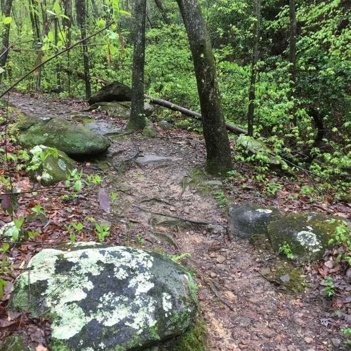 Near Pine Mt. and Cooper's Furnace Tour