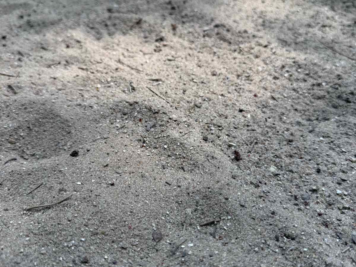 S 29 Trail photo 2
