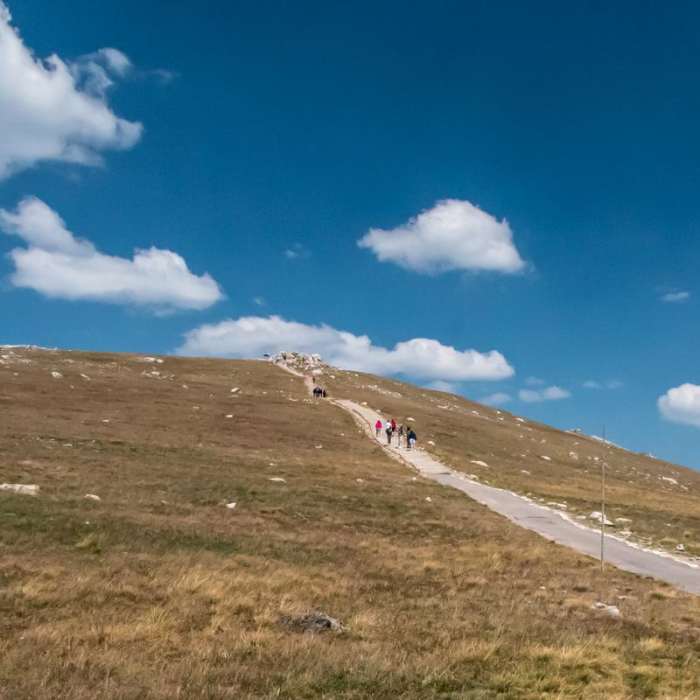 Near Alpine Ridge Trail Hike