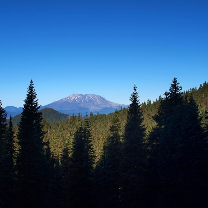 Near Placid Lake Trail #29