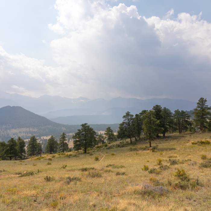 Near Deer Mountain Loop