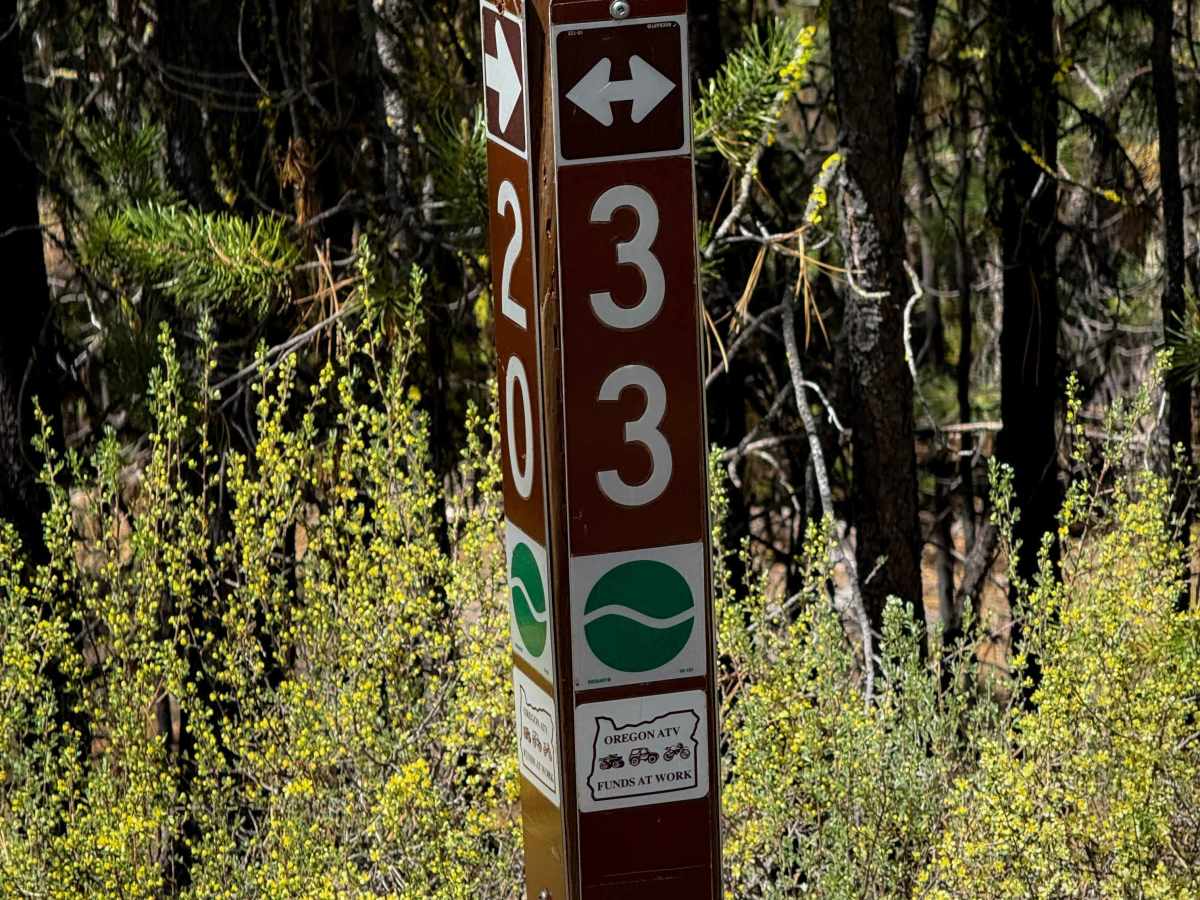 Trail 20  photo 6