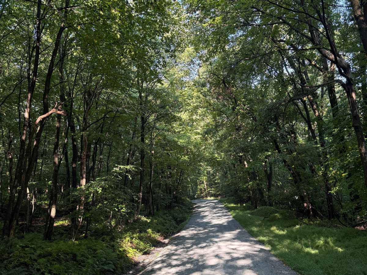 Bake Oven Knob photo 5