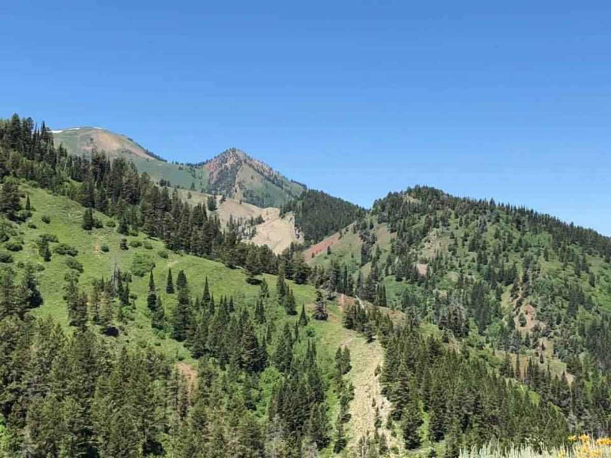 West Fork #863 Elk Creek photo 5