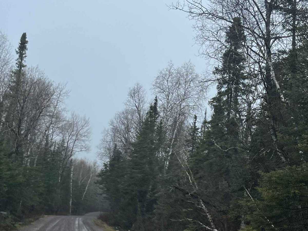 Ball Club Lake Road photo 3