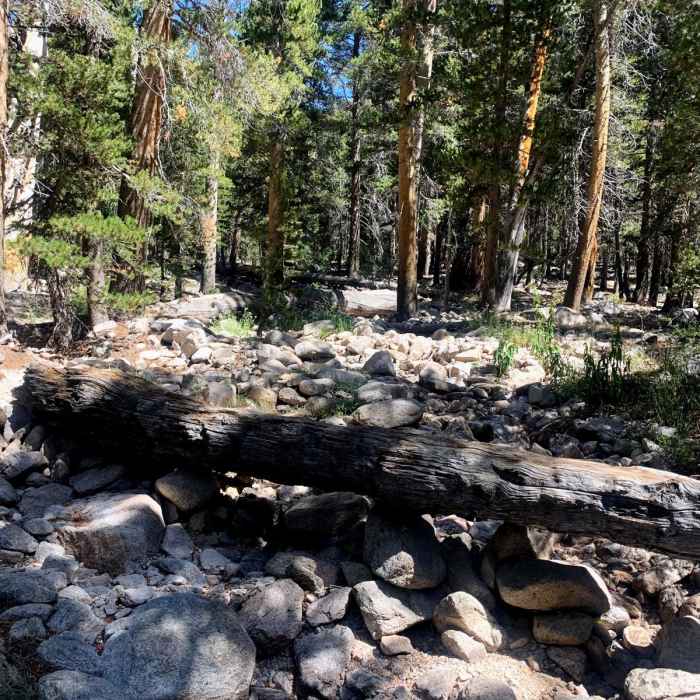 Near Kings-Kern Divide Loop