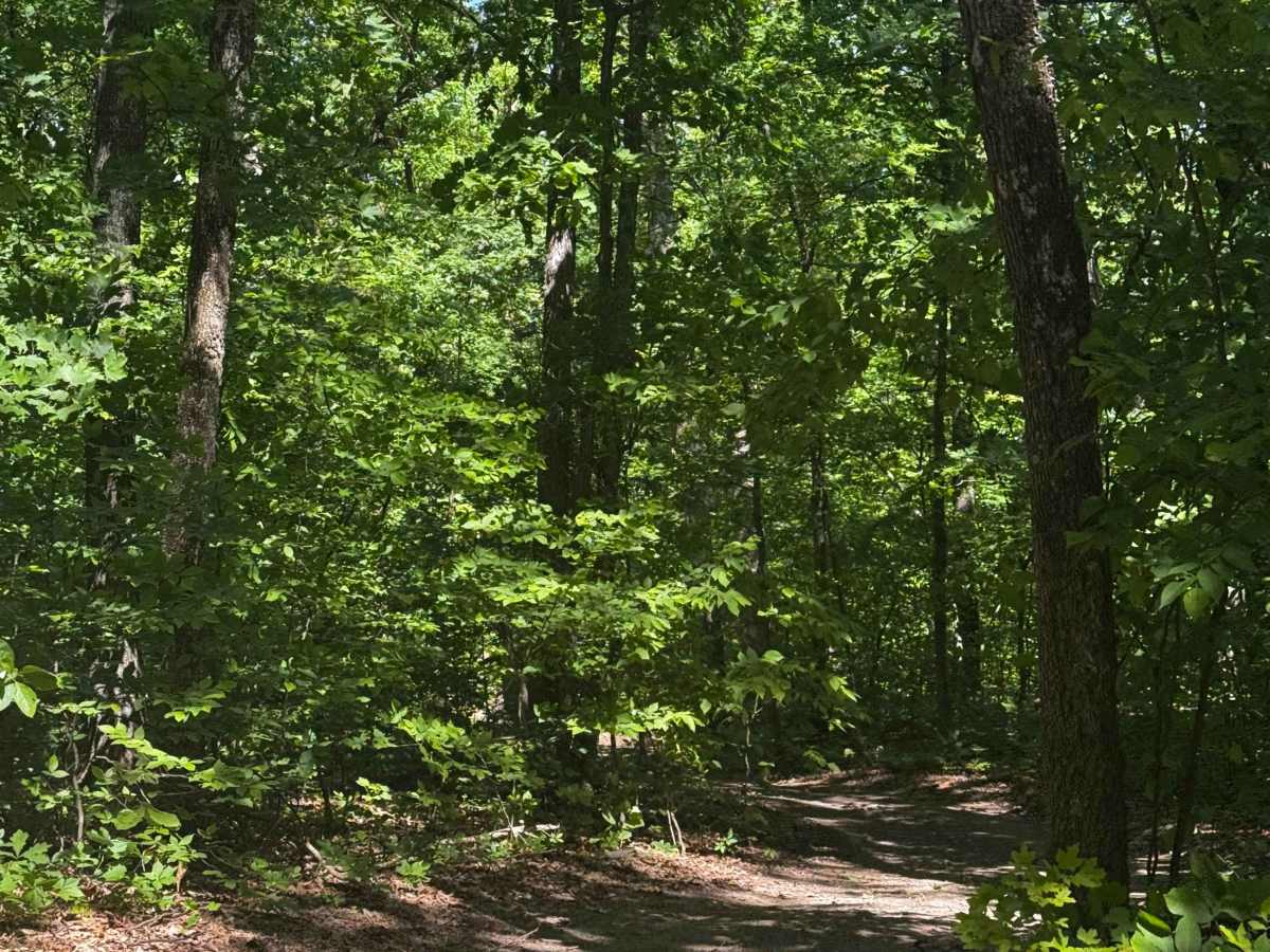 Inner Cut 69 trail photo
