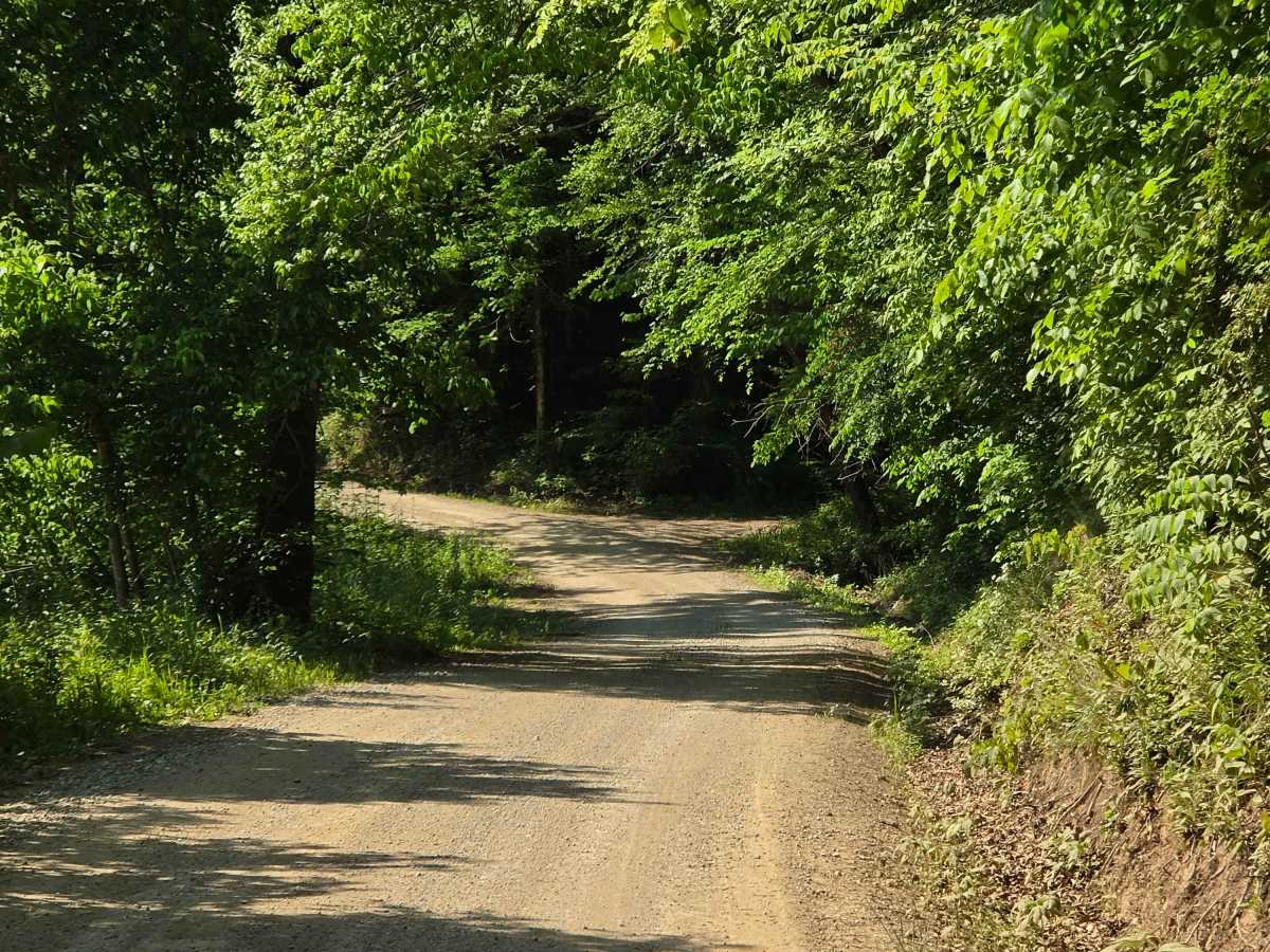 Newfound Road photo 6