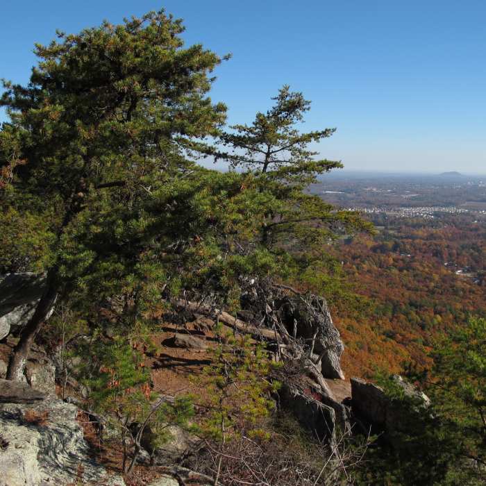 Views are lovely, even from the lower reaches of Crowder Mountain! Near Crowders Trail