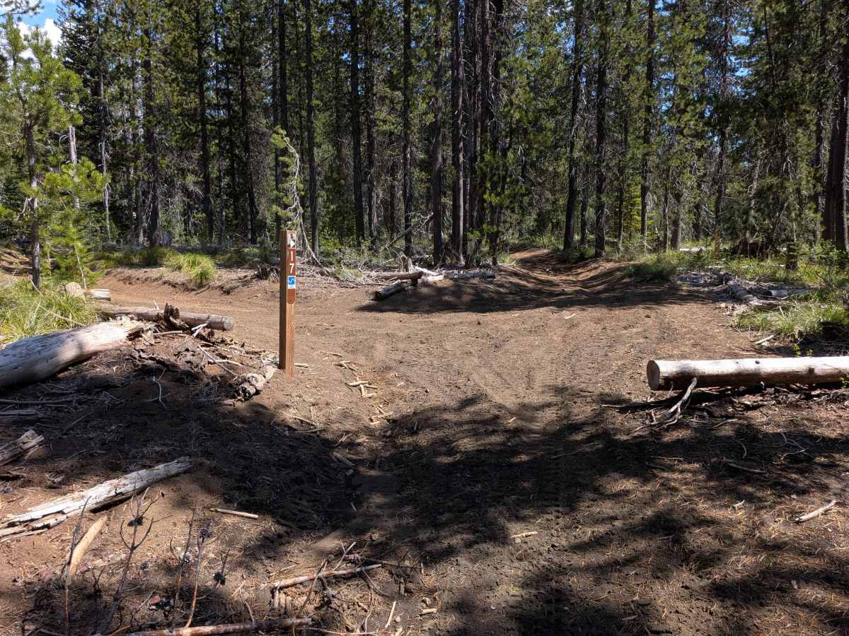 Santiam OHV 18 photo 3