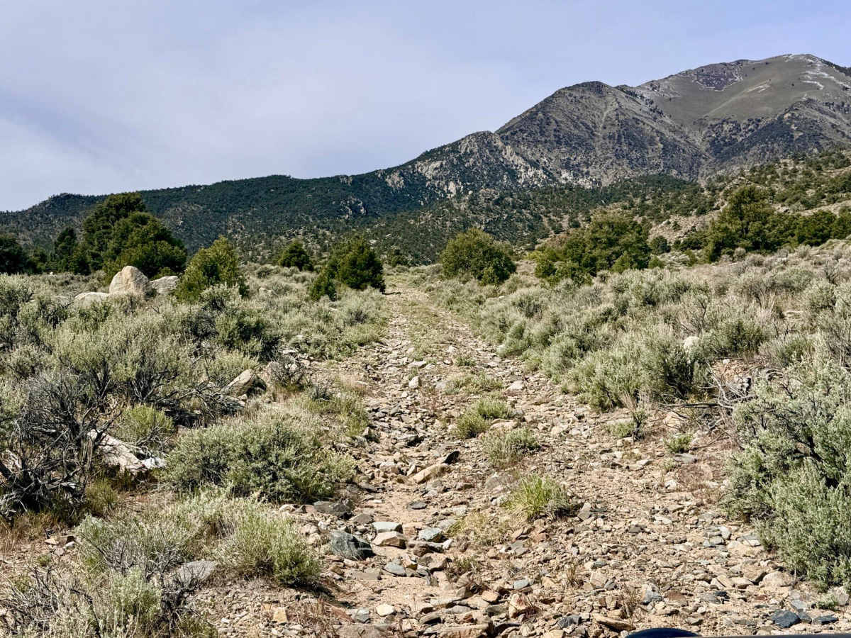 Tamblin Creek Loop - FS 43342 photo 3