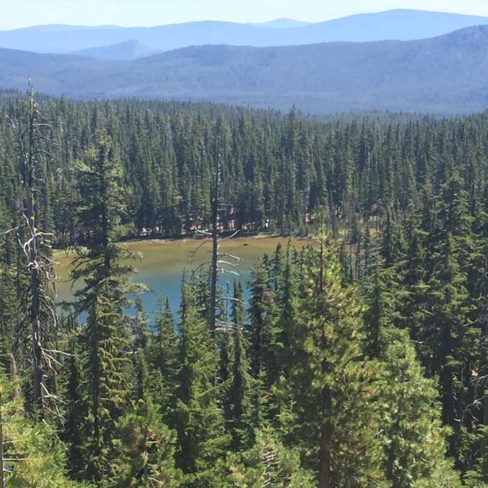 Near Cowhorn Mountain