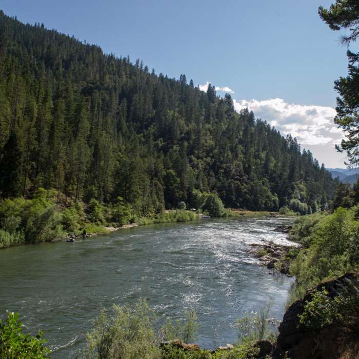 Near Whisky Creek Cabin