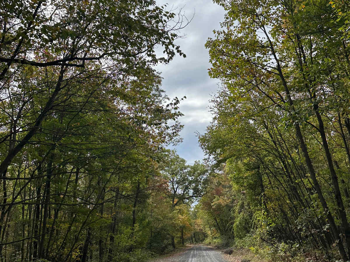 Rattlesnake Run  photo 4