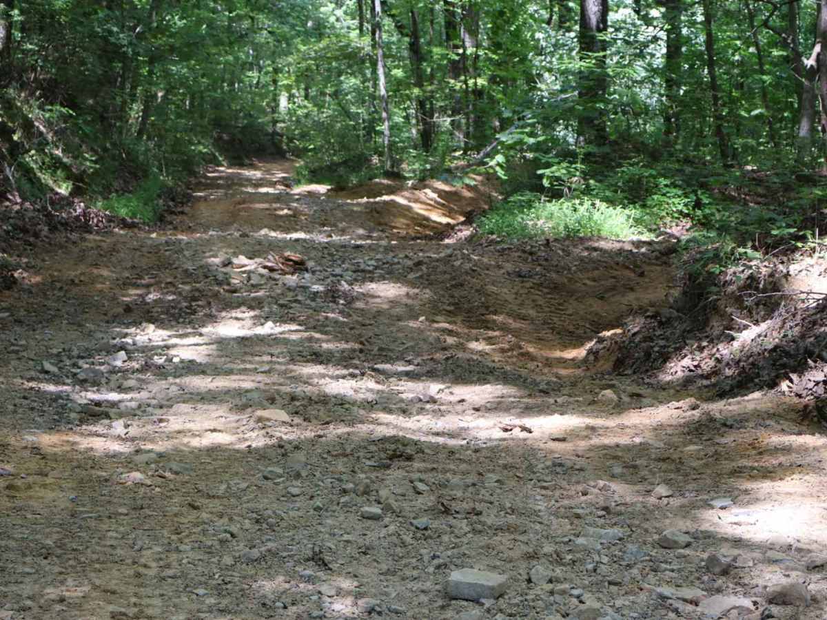 Inman Point Road photo 3