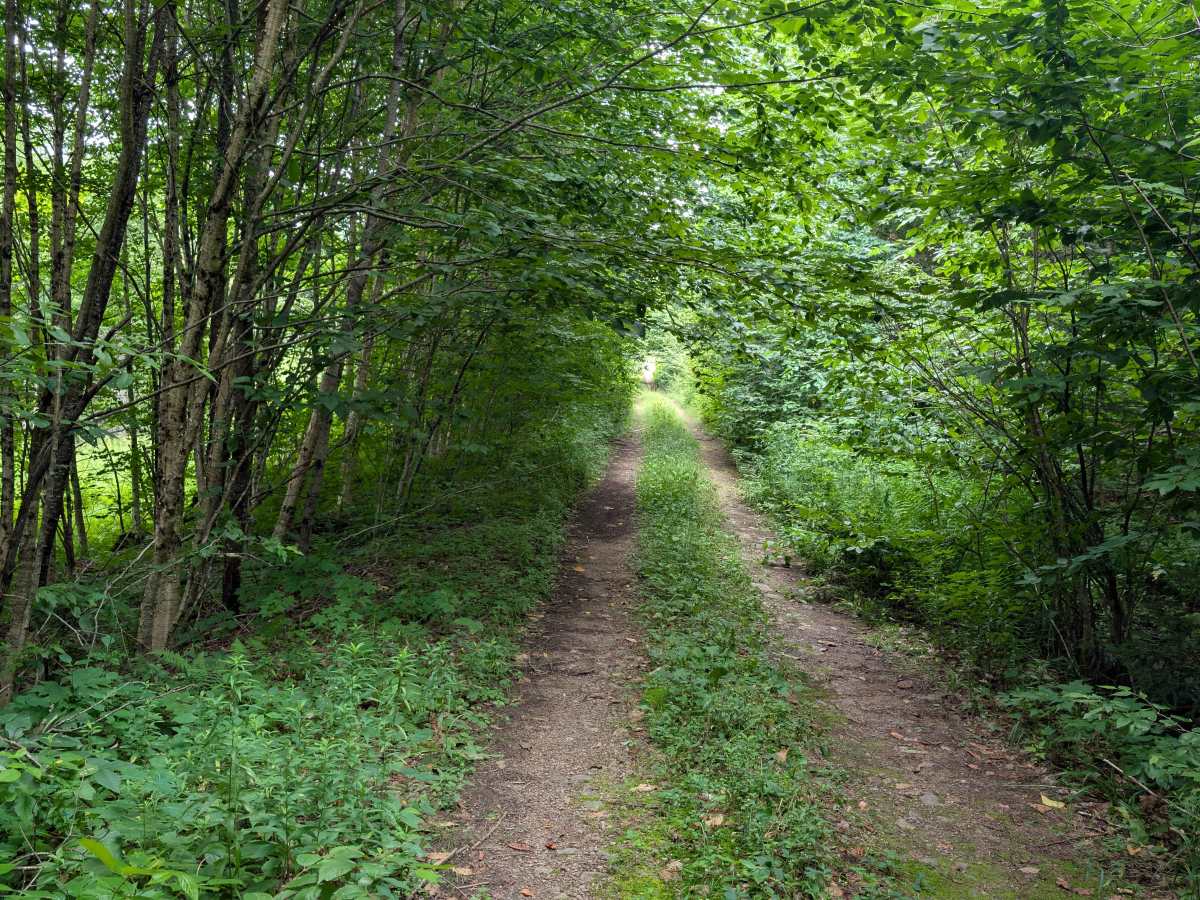 Goldmine Trail photo 5