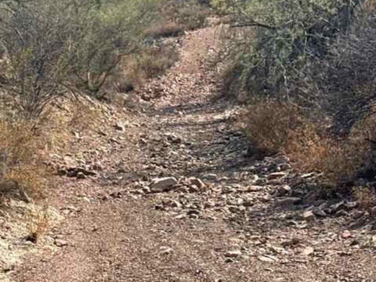 BLM 38070 photo 4