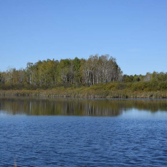 Near Oswald Viewing Platform via the North Country Trail Near Oswald Viewing Platform via the North Country Trail