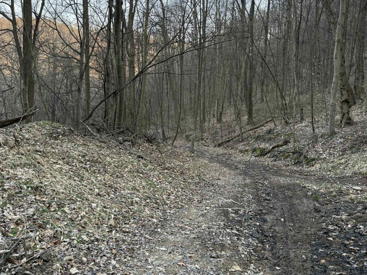Q20A trail photo