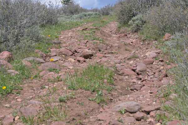 Buckboard Ridge - FS 10051