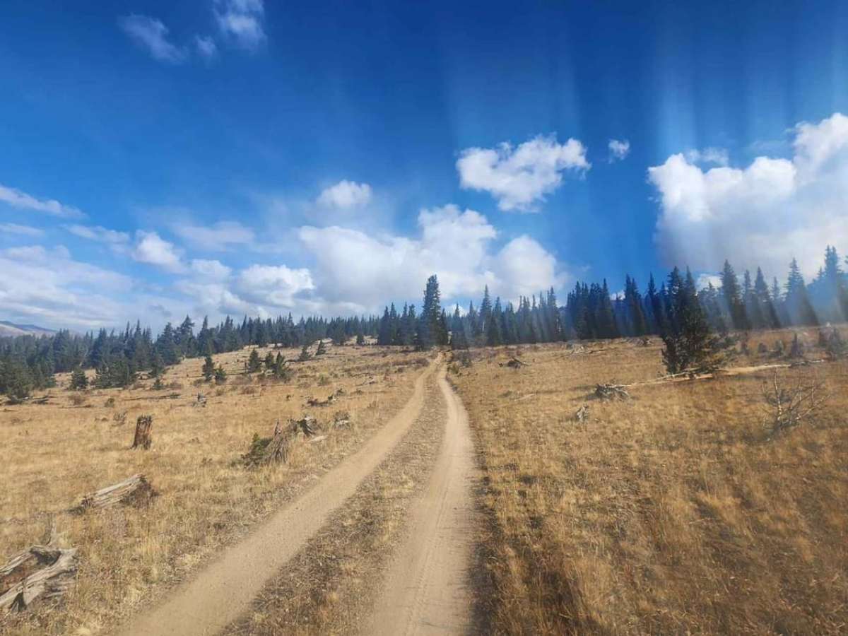 West Beaver Creek Road photo 2