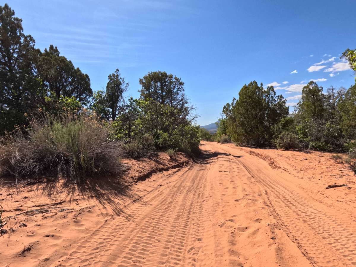 BLM 106L photo 6
