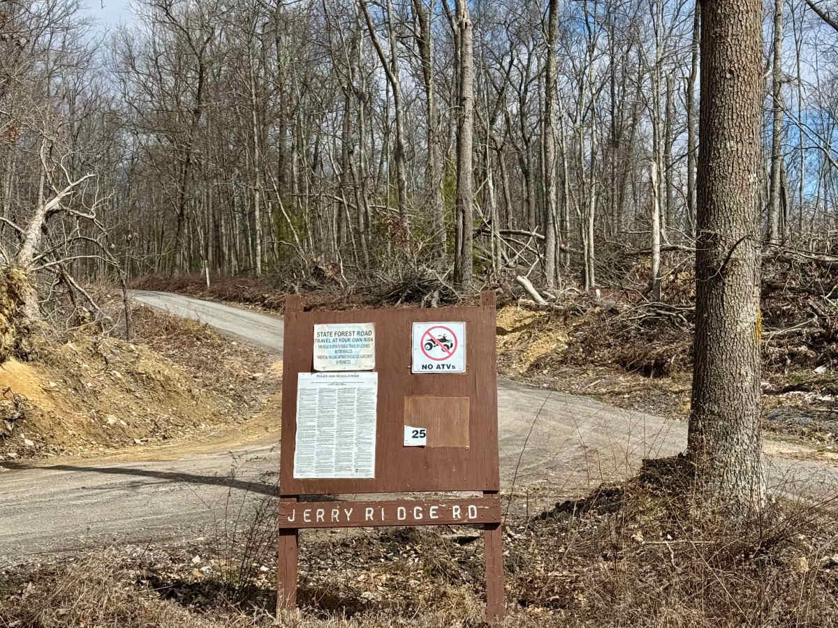 Jerry Ridge Road photo 3