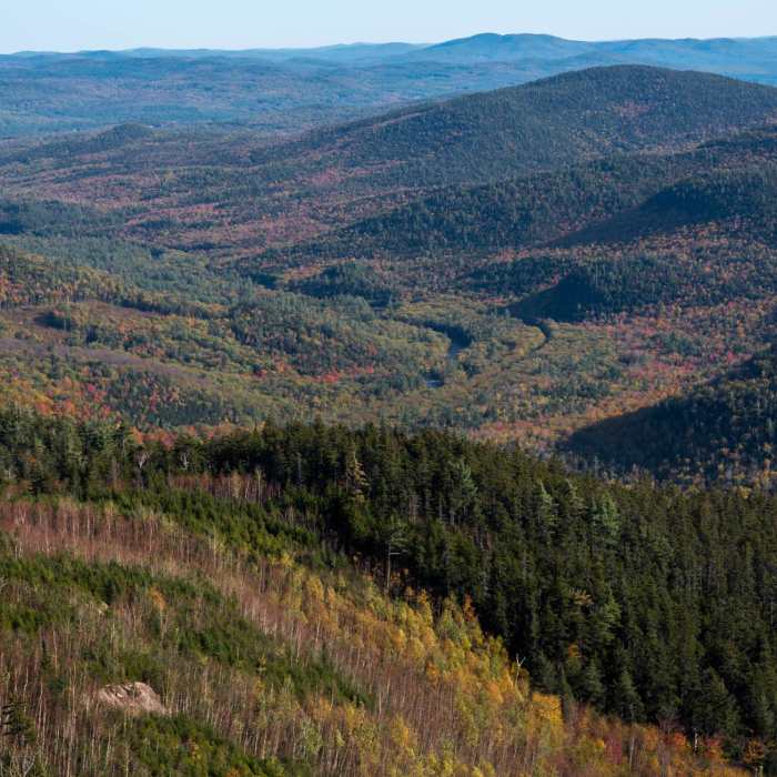 Near Table Mountain Near Table Mountain