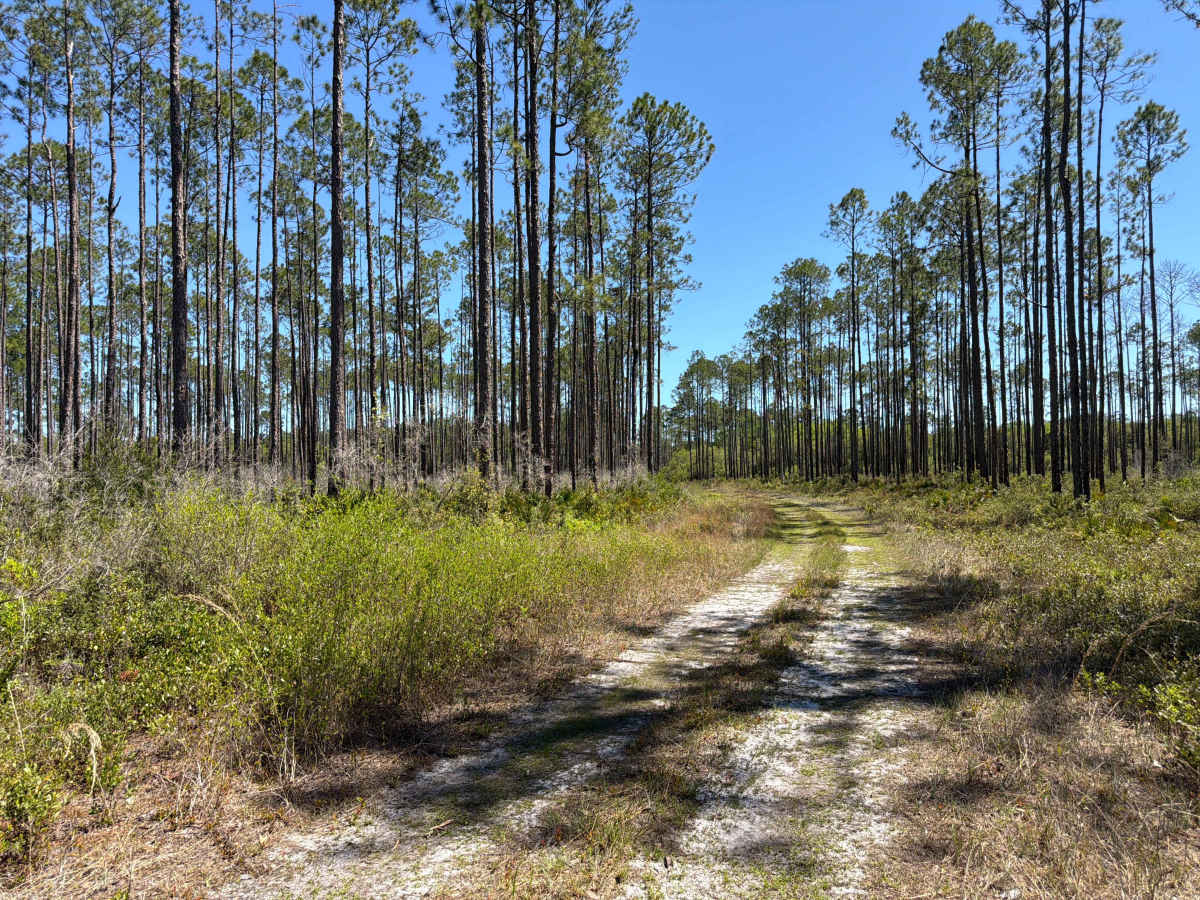 Indian Creek - FS 176 photo 3