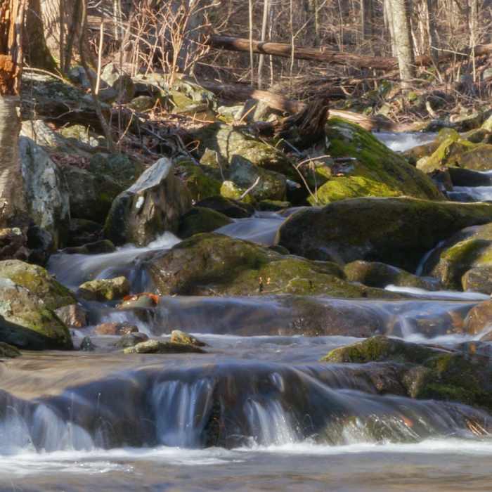 South river cascades. Near South River Falls Road