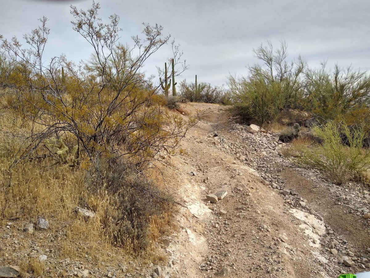 Davis Pathway photo 6