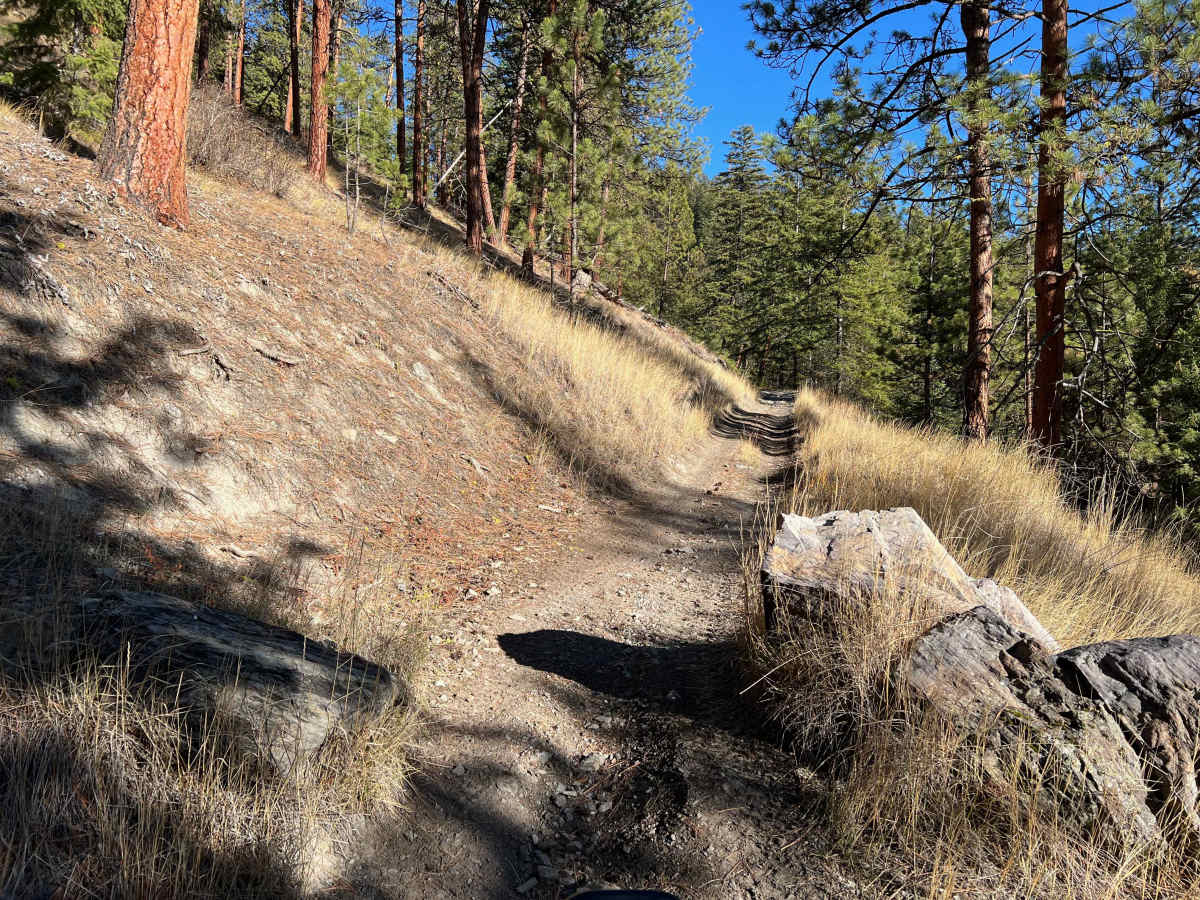 Edith Peak Trail 42 trail photo
