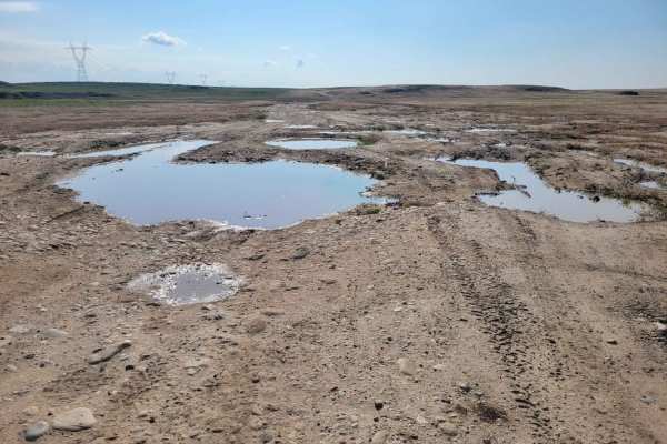 Prairie Dog Lane