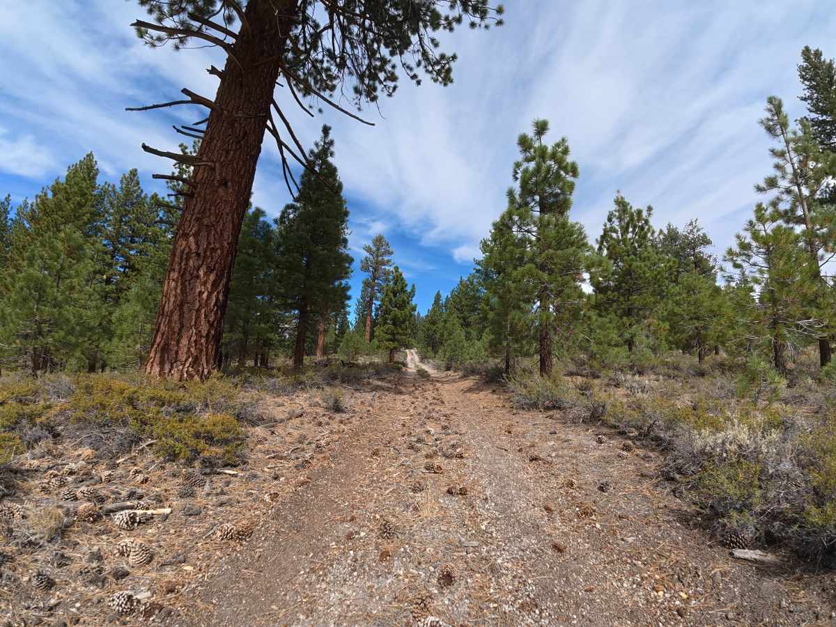 Sandy Flats Access - FS 1S85 photo 6