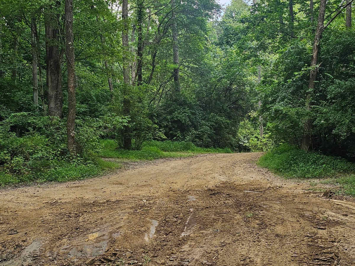 Trail 26 photo 6