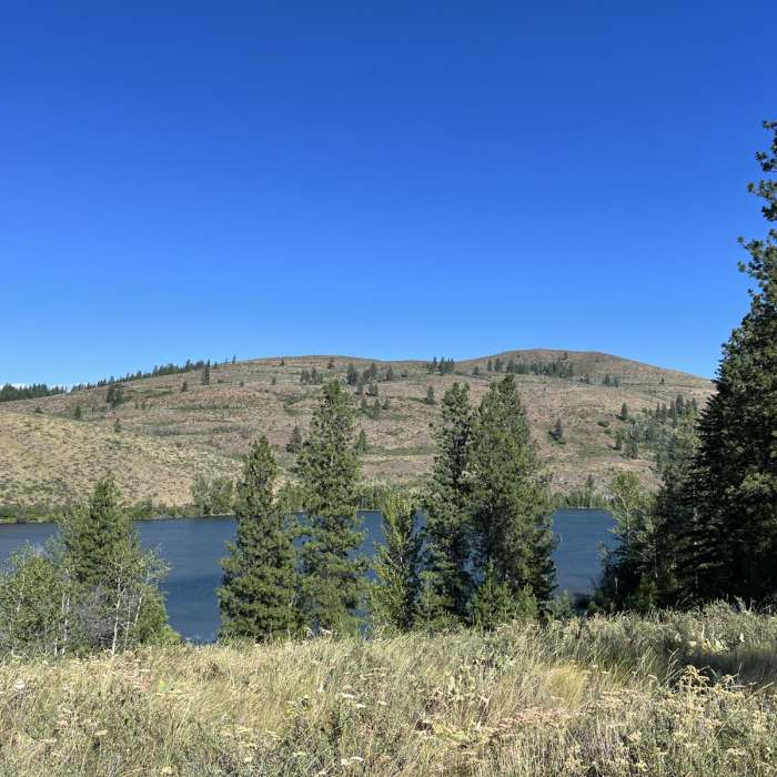 Near Patterson Lake via Rader Creek Loop