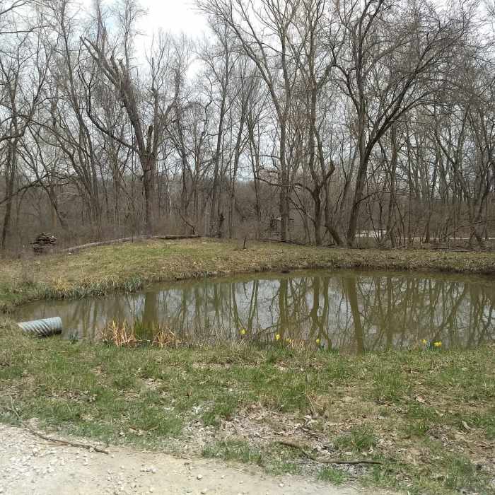 Near Meramec River Out-and-Back