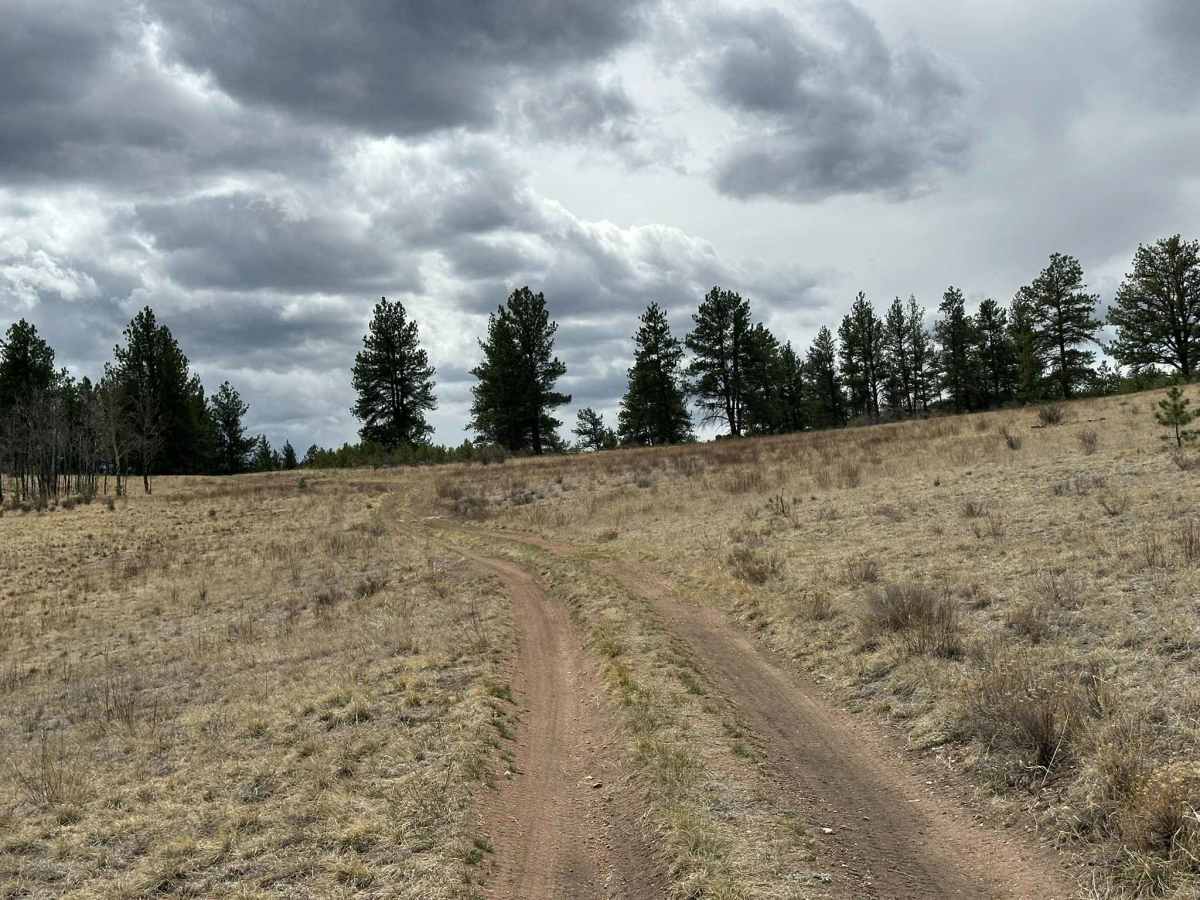 Figure 9 Road photo 3