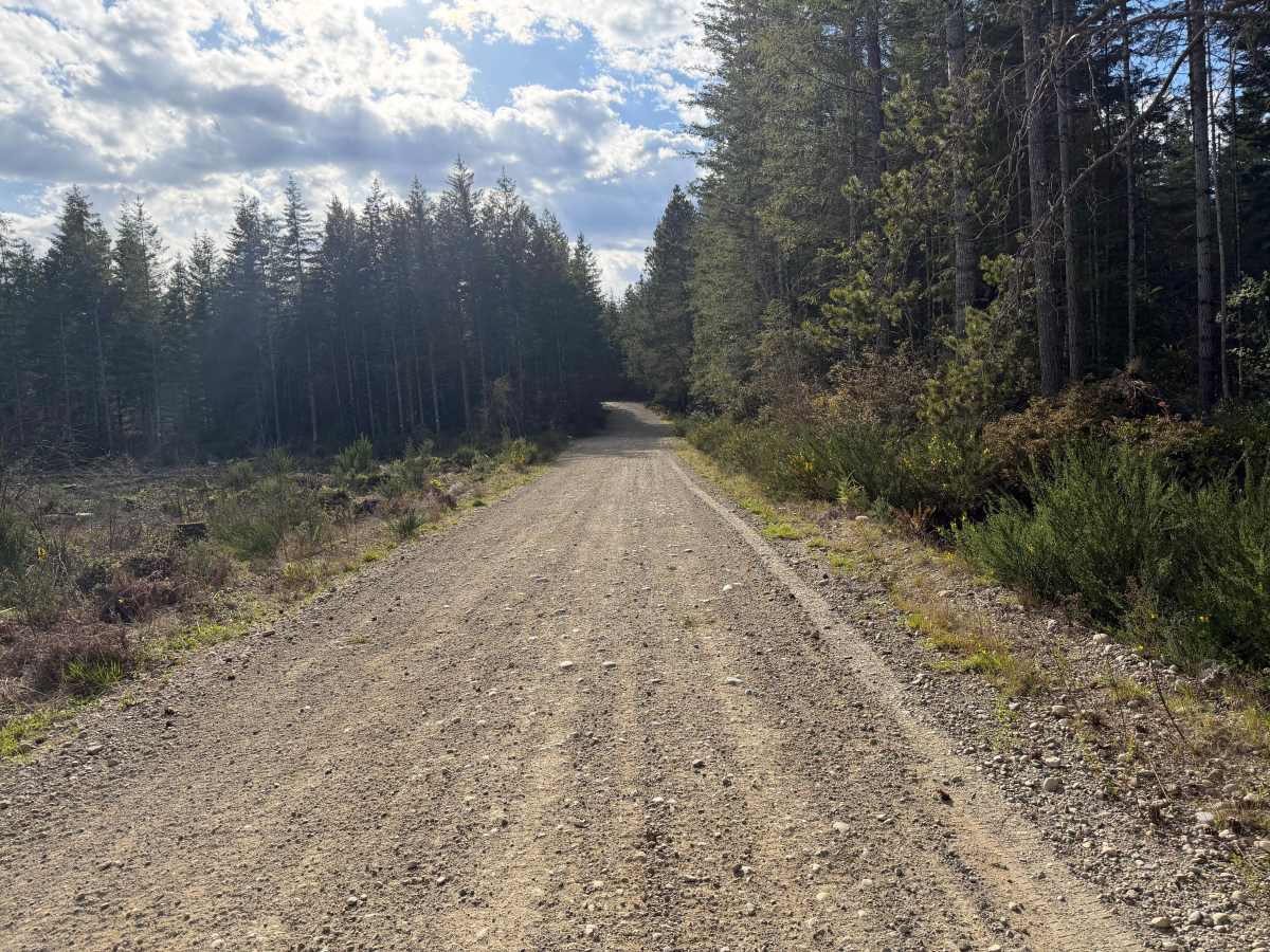 Goat Ranch Road photo 5