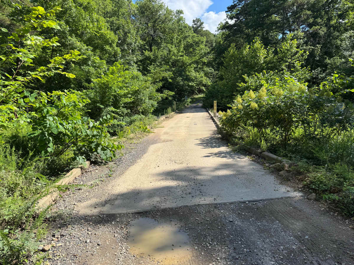South Fork Road photo 5