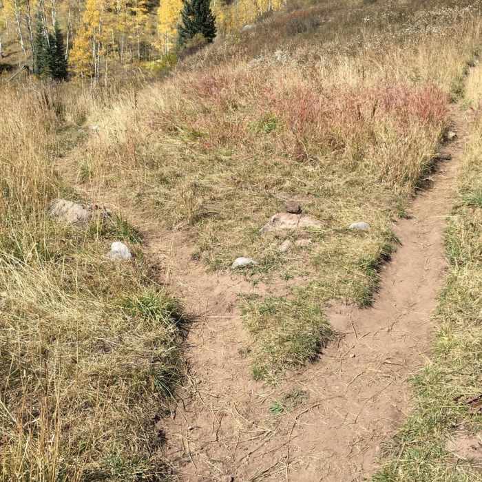 To reach Castle Rock, bear right, up the hill, at this unmarked junction. Near Elbert Creek Trail #512