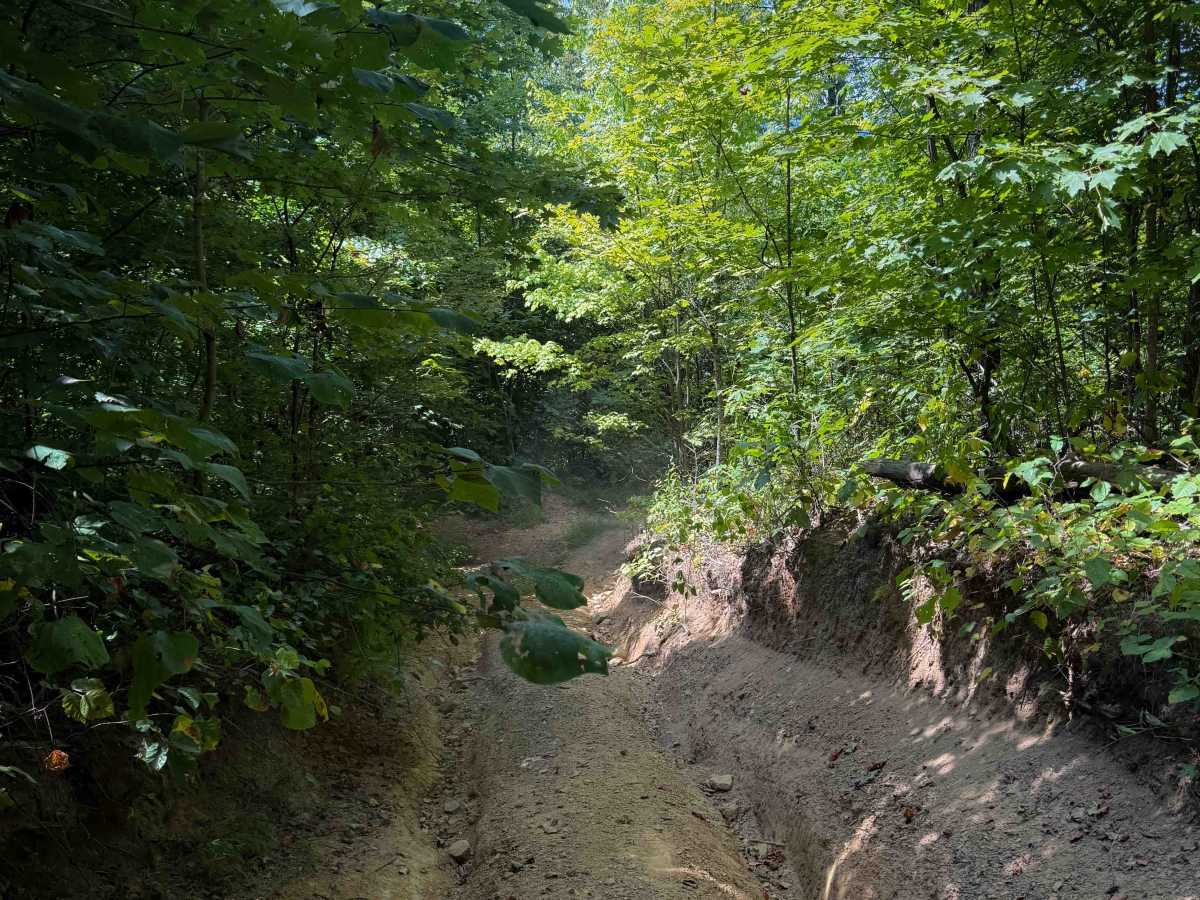 Round Mountain Trail photo 4