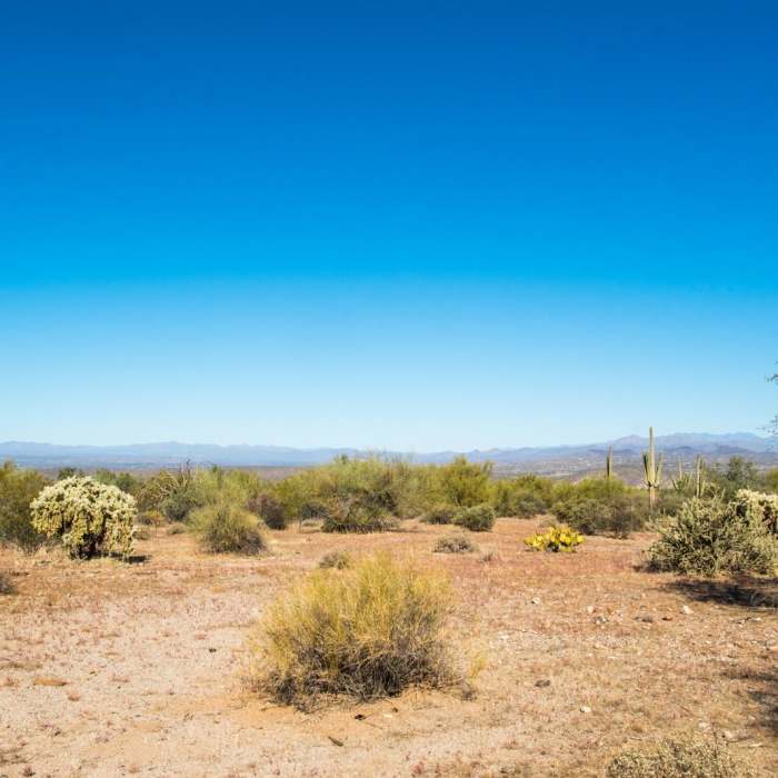 Near Wild Horse Trail