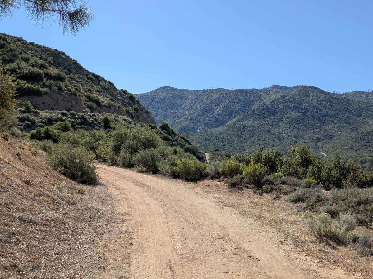 Rincon - FS 22S51 trail photo
