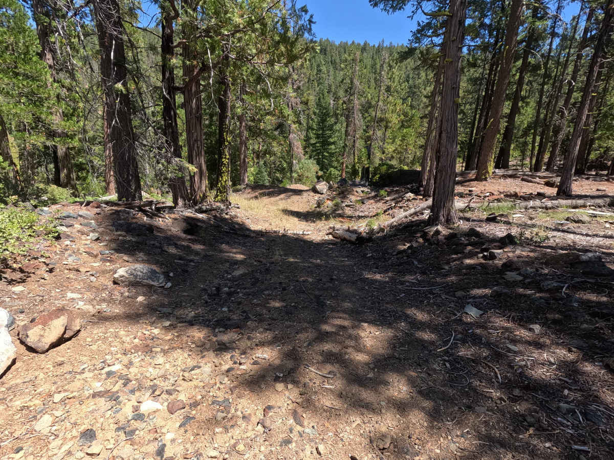 East Cabin Meadow Spur A - FS 41N04A photo 6